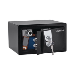 SentrySafe X031 Security Safe