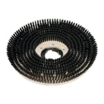 Clarke 20in Scrub Brush For CFP 200, CFP 2000 And CFP 2000-DS