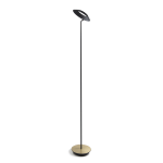 Koncept Royyo LED Floor Lamp, 45-1/2inH, Matte Black Body/Brass Base Plate