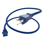 UNC Group - Power cable - NEMA 5-15P (M) to power IEC 60320 C13 - 125 V - 10 A - 1 ft - blue