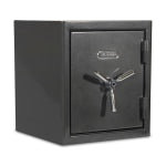 Sanctuary Platinum Biometric Home/Office Safe, 1.96 Cu. Ft., Dark Grey Hammertone