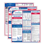 ComplyRight Federal (Bilingual) And State (English) Labor Law 1-Year Poster Service, Illinois