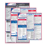 ComplyRight Federal (Bilingual) And State (English) Labor Law 1-Year Poster Service, Puerto Rico Spanish