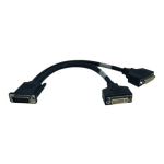 Eaton Tripp Lite Series 1ft DMS-59 Graphics Card to Dual DVI Splitter Y Cable M/Fx2 1ft - DVI splitter - DVI-I (F) to DMS-59 (M) - 1 ft - molded - black