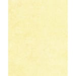 Gartner Studios Design Paper, 8 1/2in x 11in, 60 Lb, Ivory Parchment, Pack Of 100 Sheets