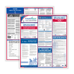 ComplyRight Federal And State Labor Law Poster Set, English, Arizona