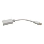 Tripp Lite 6in Mini DisplayPort To DisplayPort Adapter, White