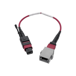 Tripp Lite MTP/MPO Parallel Optics Base-8 Migration Fiber Adapter, Polarity A to B, 12 Fiber, 40 GbE, OM4 M/F, Magenta, 8 in. - 50 / 125 micron - IEEE 802.3ae/OM4 - plenum, stranded - magenta