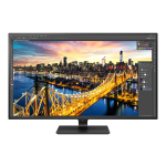 LG 43in 4K UHD LCD LED Monitor, VESA Mount, 43MU79-B