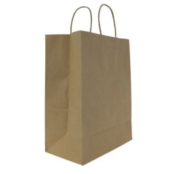 Karat Kraft Laguna Paper Shopping Bags, 13 3/8in x 5 3/8in x 9 1/2in, Brown, Case Of 250 Bags