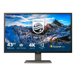 Philips P-line 439P1 - LED monitor - 43in (42.51in viewable) - 3840 x 2160 4K @ 60 Hz - VA - 400 cd/m2 - 4000:1 - DisplayHDR 400 - 4 ms - 3xHDMI, DisplayPort, USB-C - speakers - black texture