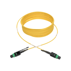 Tripp Lite MTP/MPO (APC) Singlemode Patch Cable (F/F), 12 Fiber, 40/100 GbE, QSFP+ 40GBASE-PLR4, Plenum, Push/Pull Tab, Yellow, 5 m (16 ft.) - Patch cable - MTP/MPO single-mode (F) to MTP/MPO single-mode (F)  - yellow