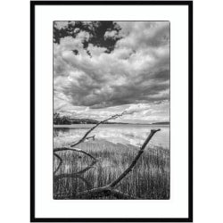 Amanti Art La Jolla 3 by Rachel Dowd Wood Framed Wall Art Print, 41inW x 33inH, Black