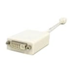 UNC Group - DVI adapter - Mini DisplayPort (M) to DVI-I (F) - white