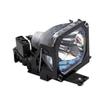 BTI Projector Lamp - EPSON: EMP-503, EMP-503C, EMP-505, EMP-505C, EMP-703, EMP-703C, EMP-713, EMP-713C, EMP-715, EMP-715C, EMP-815, POWERLITE 503, POWERLITE 503C, POWERLITE 505, POWERLITE 505C, POWERLITE 703