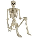 Amscan Life Size Poseable Skeleton Halloween Prop, 5', White