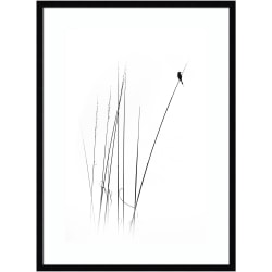 Amanti Art Evanescence 12 by DAG, Inc Wood Framed Wall Art Print, 33inH x 33inW, Natural