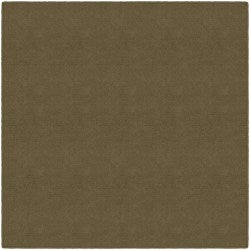 Flagship Carpets Americolors Rug, Square, 12ft x 12ft, Almond