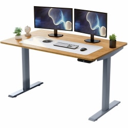 Rise Up Electric Standing Desk 48x30in Natural Bamboo Desktop Dual Motors Adjustable Height Gray Frame (26-51.6in) with memory