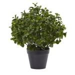 Nearly Natural 23inH Peperomia Plant With Pot, Green/Black