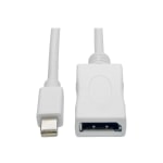 Tripp Lite Mini DisplayPort To DisplayPort Adapter Cable, 10ft