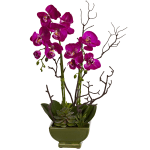 Nearly Natural Orchid & Succulent 21inH Plastic Floral Arrangement With Planter, 21inH x 10inW x 8inD, Dark Pink/Green