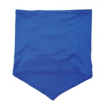 Ergodyne Chill-Its 6483 Cooling Neck Gaiter Bandana Pocket, S/M, Blue