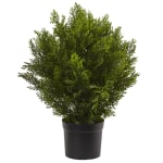 Nearly Natural 2ftH Artificial Cedar Bush With Pot, Green/Black