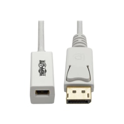 Tripp Lite 6in DisplayPort To Mini DisplayPort Adapter Cable, White